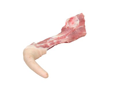 Pig Tail | 猪尾