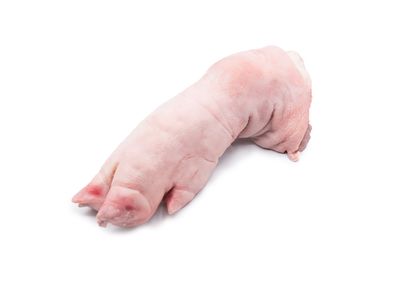 Pork Trotter (Front) | 猪前手