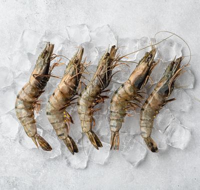 Grey Prawns