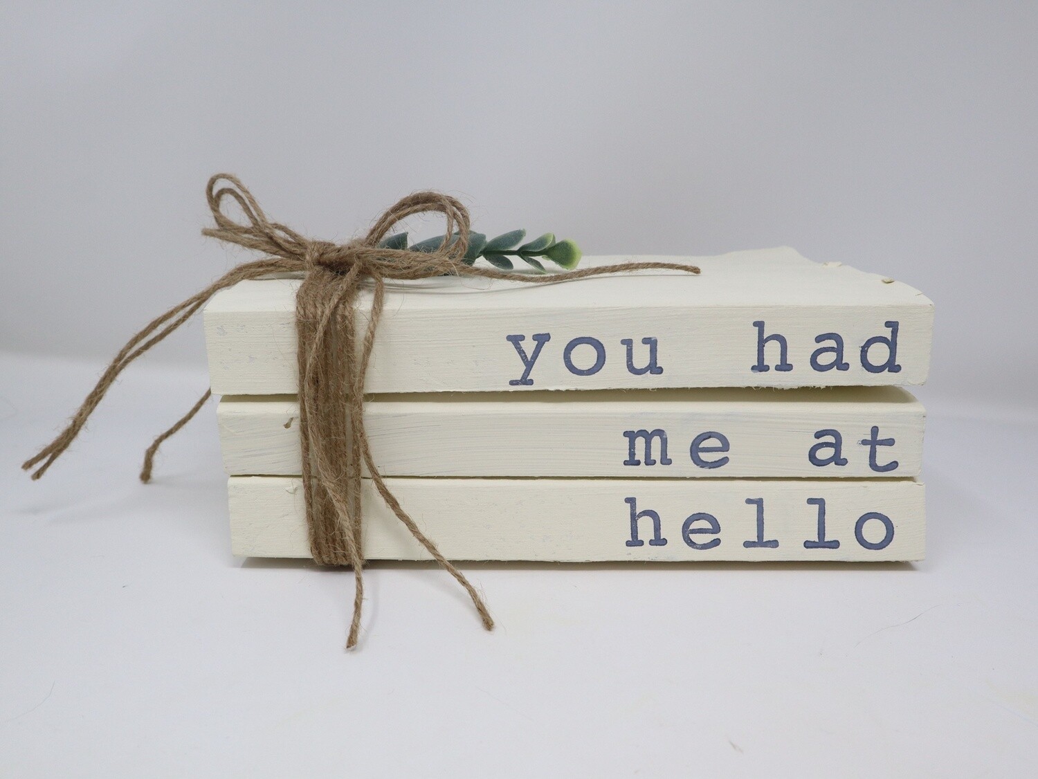 "You Had Me at Hello" Stacked Book Set
