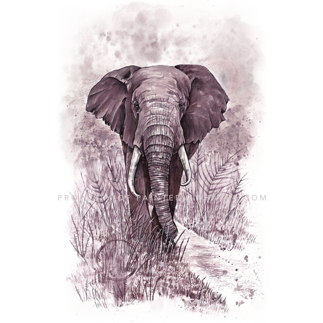 Elephant Card