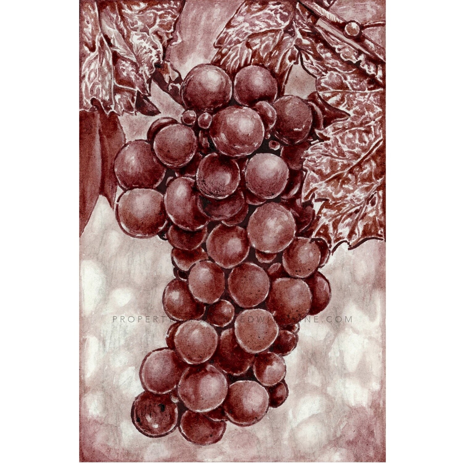 Grapes Print