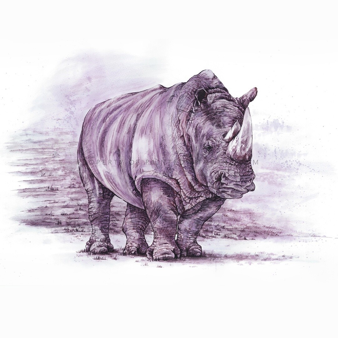 Rhino Card