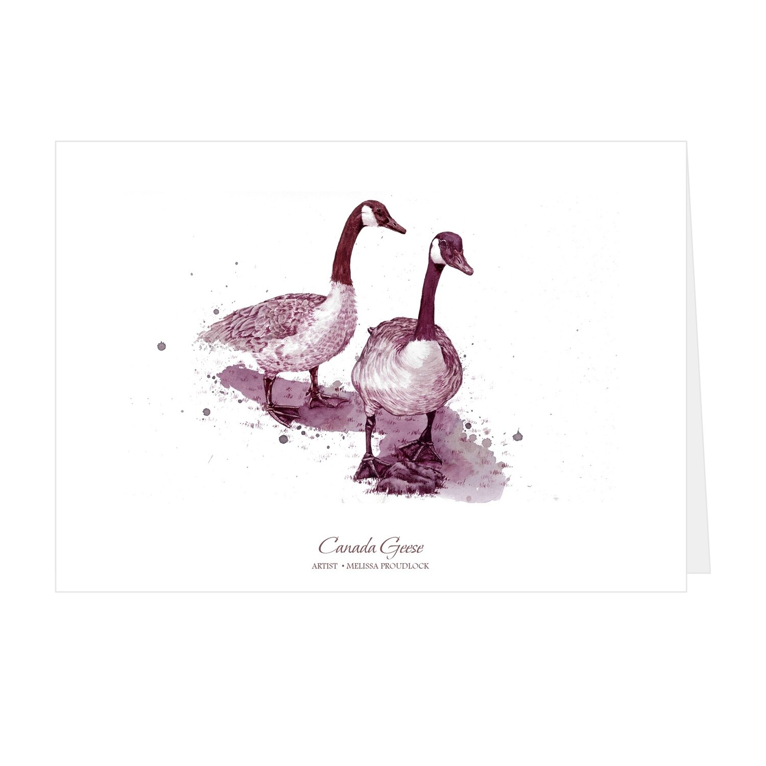 Canada Geese Card