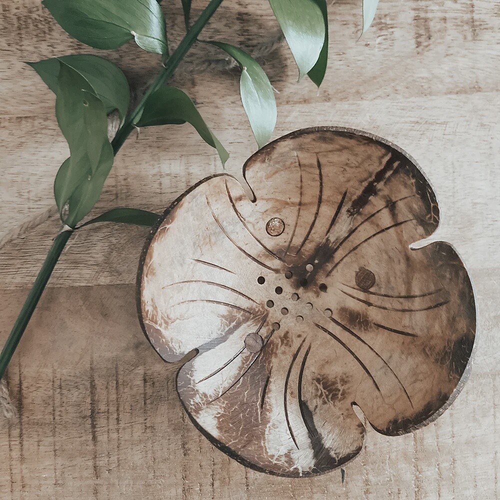 Coconut Shell Dish