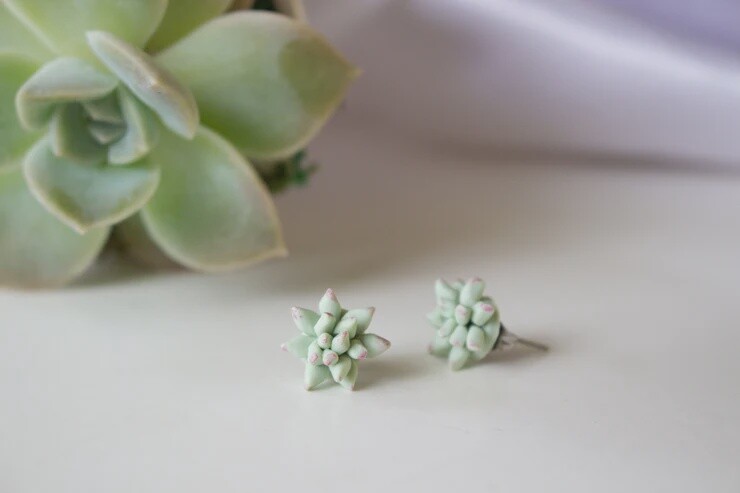 Succulent Earrings