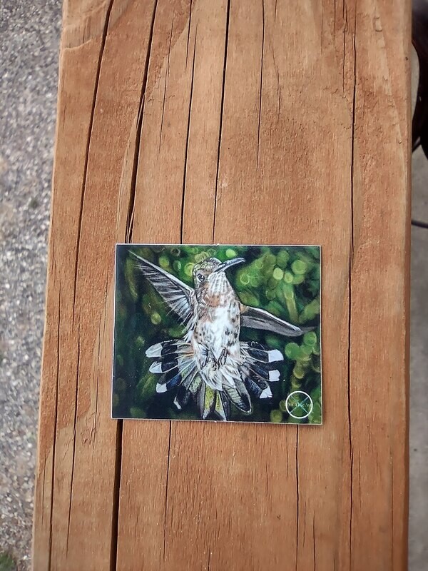 Hummingbird - Sticker