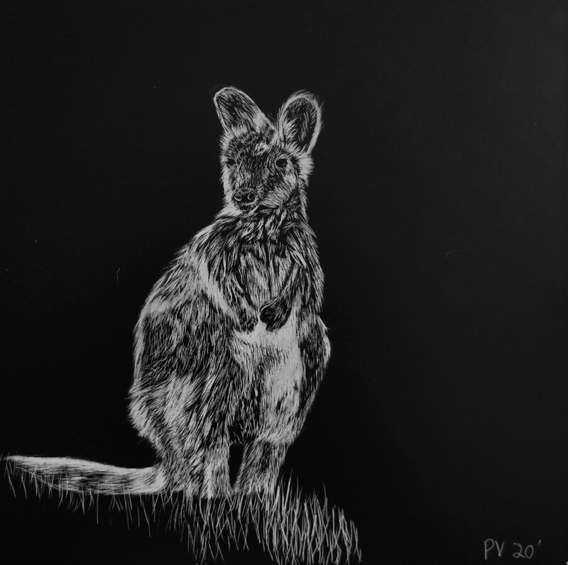 Scratchbord Kangaroo 5"x5"