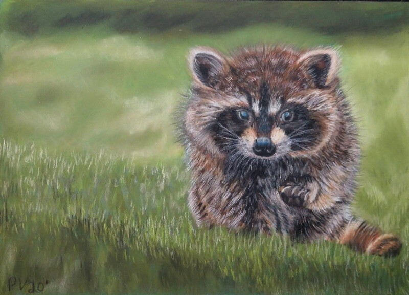 Pastel Racoon 5"x7"