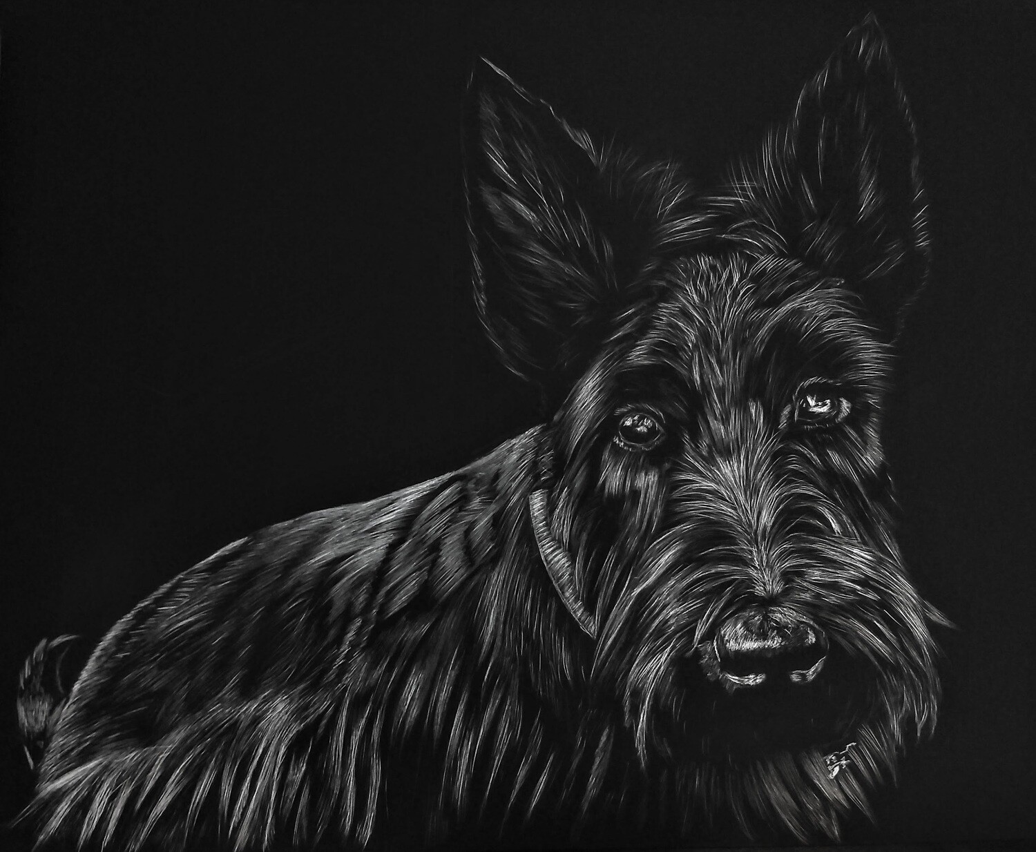 Scottie Dog - Print - Matted