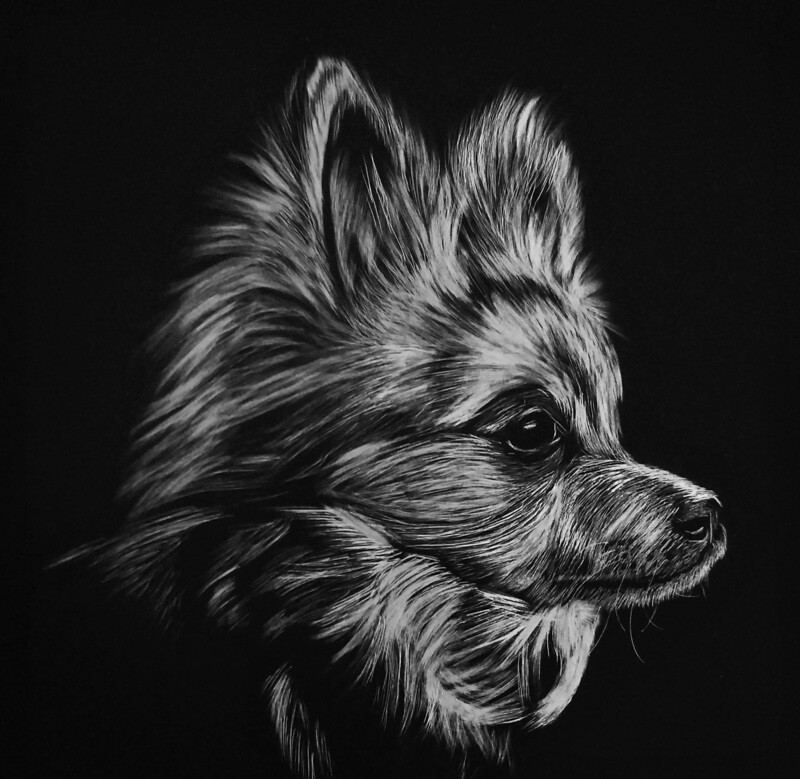 I, Chihuahua! - Print