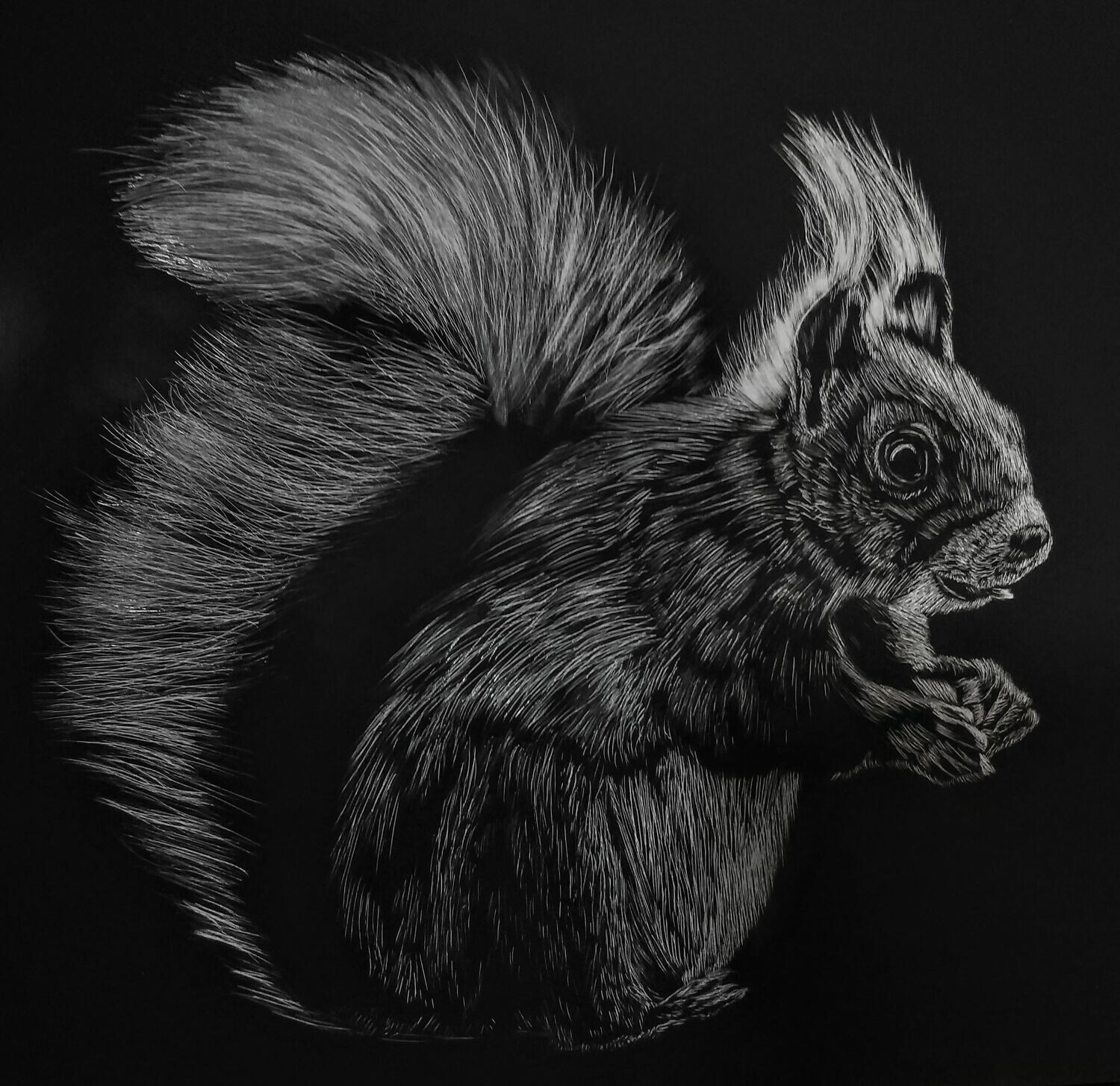 Squirrel 10x10 Print