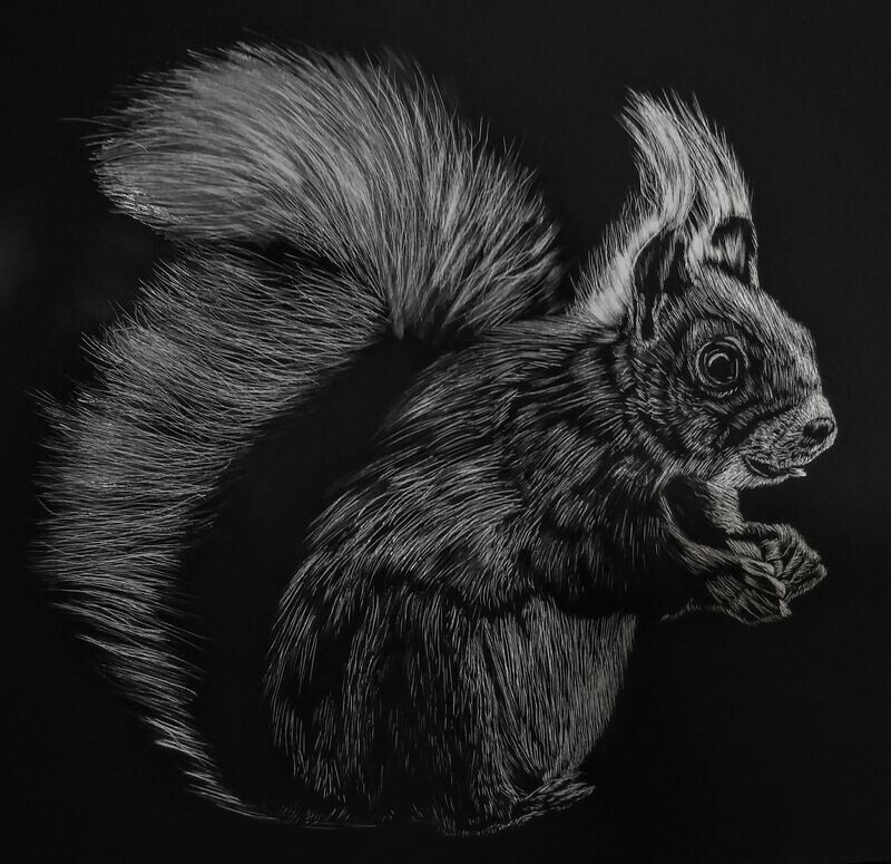 Squirrel 10x10 Print