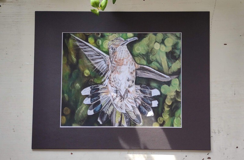 Hummingbird - Print - Matted