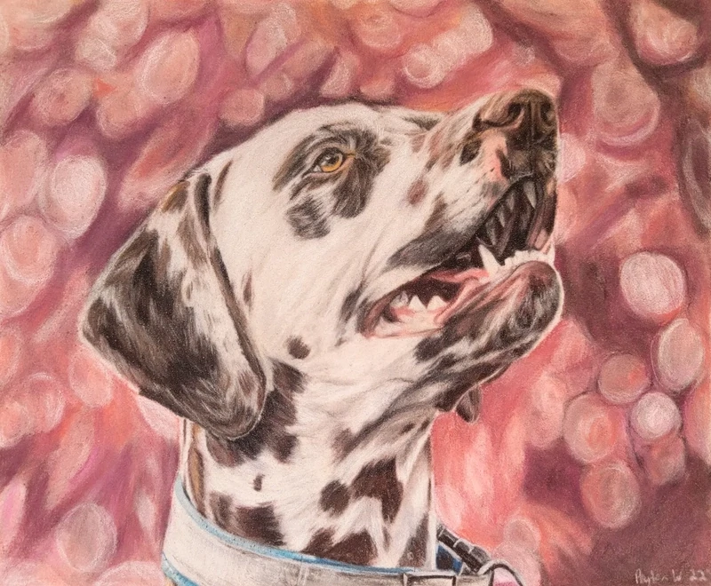 Dalmatian - Color Pencil - Framed