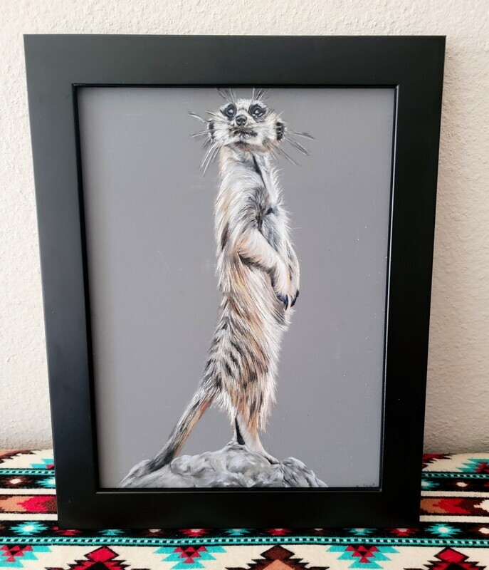 Meerkat - Pastel - Framed