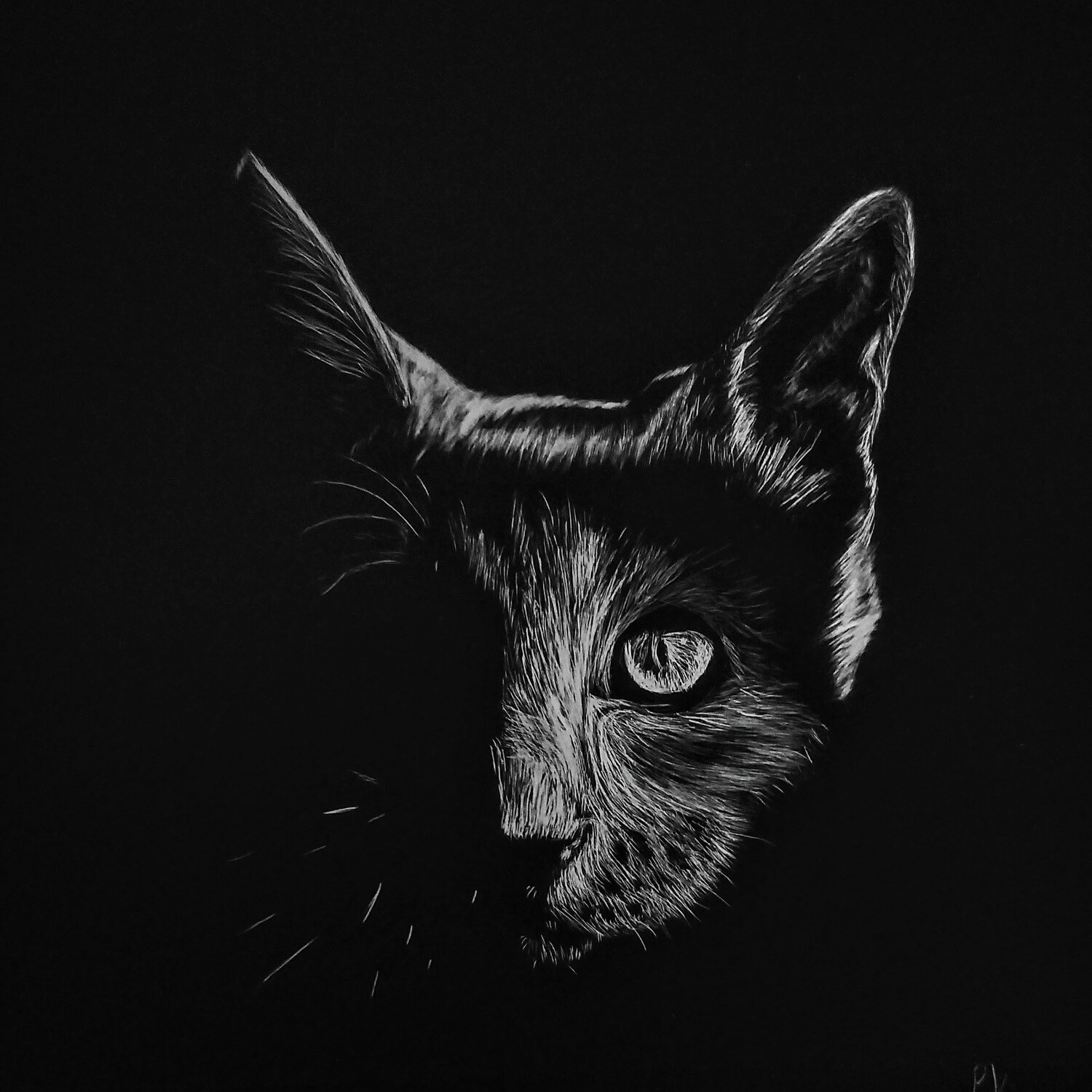 Cat &quot;moonlit&quot; - Print