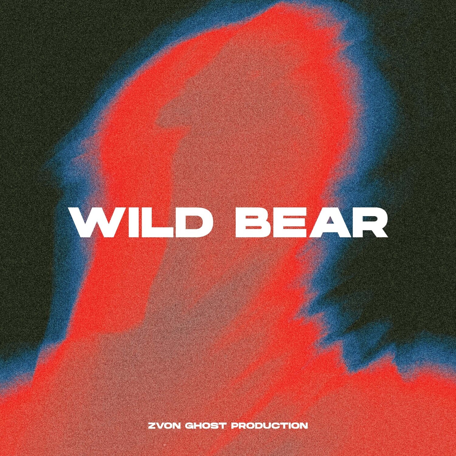 Wild Bear