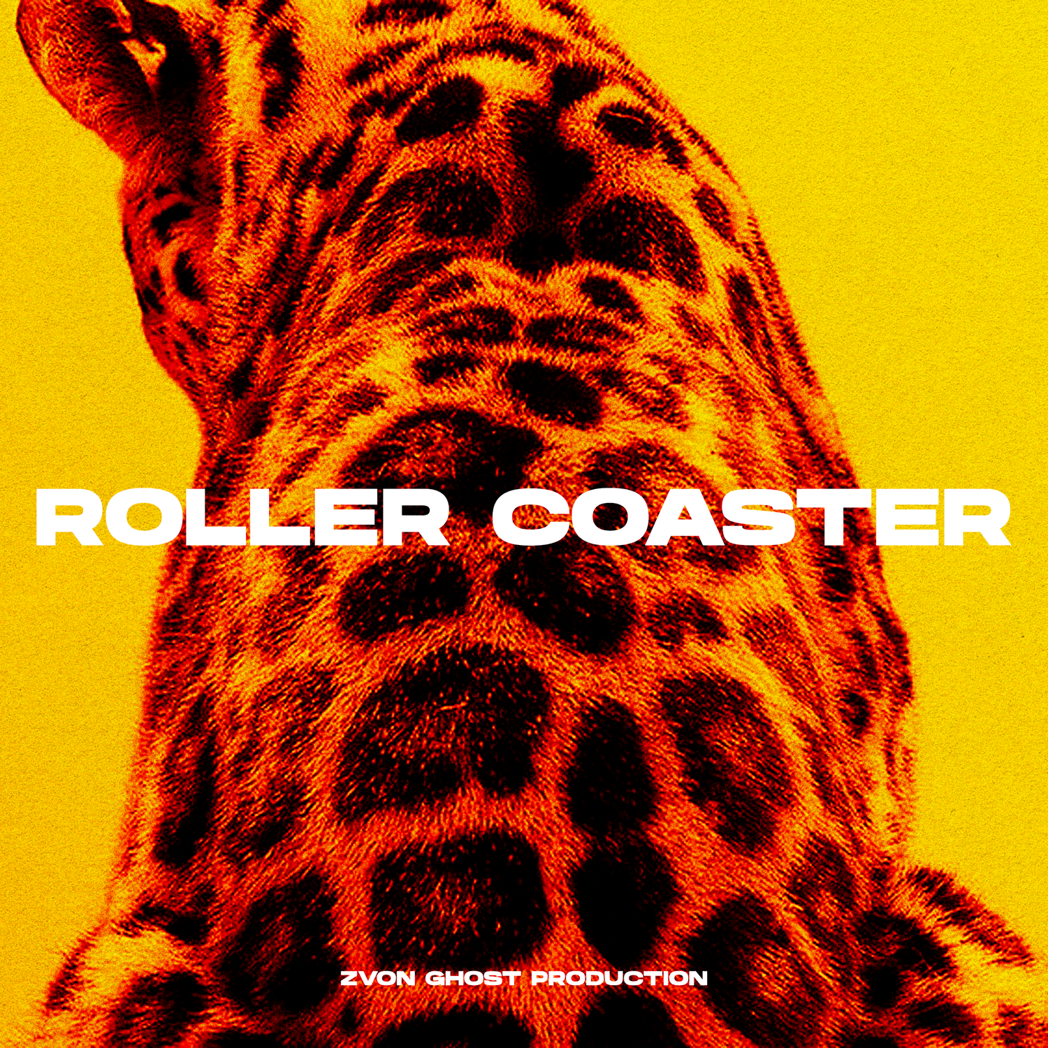 Roller Coaster