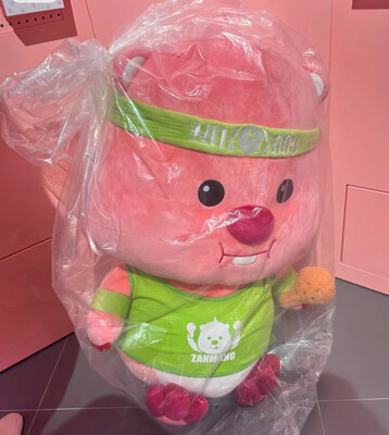 LOOPY韩国正版绿头巾装饰玩偶 75cm / Loopy 75cm Green Bandana Plush By ICONIX