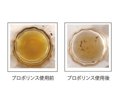 Propolinse X Chiikawa联名系列漱口水 多口味选 / Chiikawa Mouth Rinse (Multiple Flavor) By PROPOLINSE x CHIIKAWA