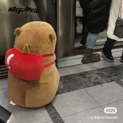 CAPYBARA卡皮巴拉 憨憨水豚公仔 苹果背包款特大号68cm