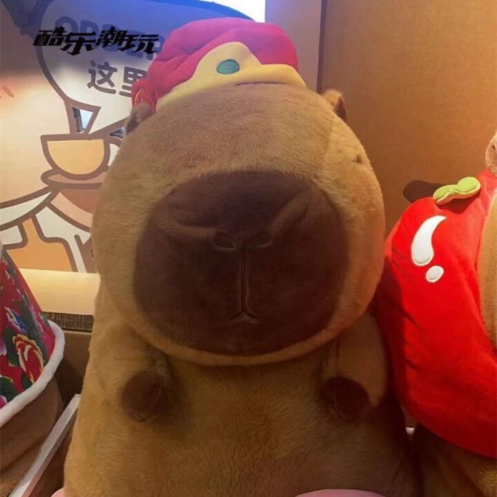 CAPYBARA卡皮巴拉 憨憨水豚公仔 财神款68cm