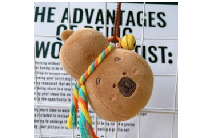 【新品】CAPYBARA卡皮巴拉 憨憨水豚挂件 葫芦款 / Magic Gourd Keychain By GREEN PARTY