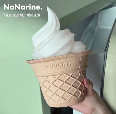INTO THE GARDEN 花园里系列 甜筒雪顶  花盆/ Ice Cream Cone Flower Pot By INTO THE GARDEN