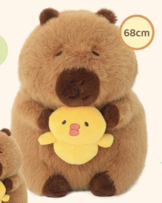 【新品】CAPYBARA卡皮巴拉 憨憨水豚公仔 抱鸭鸭68cm