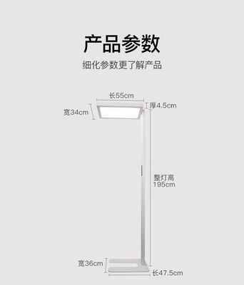 【现货】自由光站立式护眼落地灯 / Eye-caring Light Floor Lamp