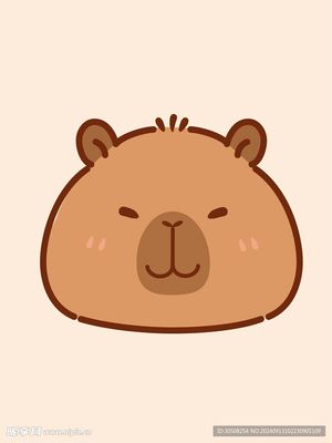 Capybara / 卡皮巴拉
