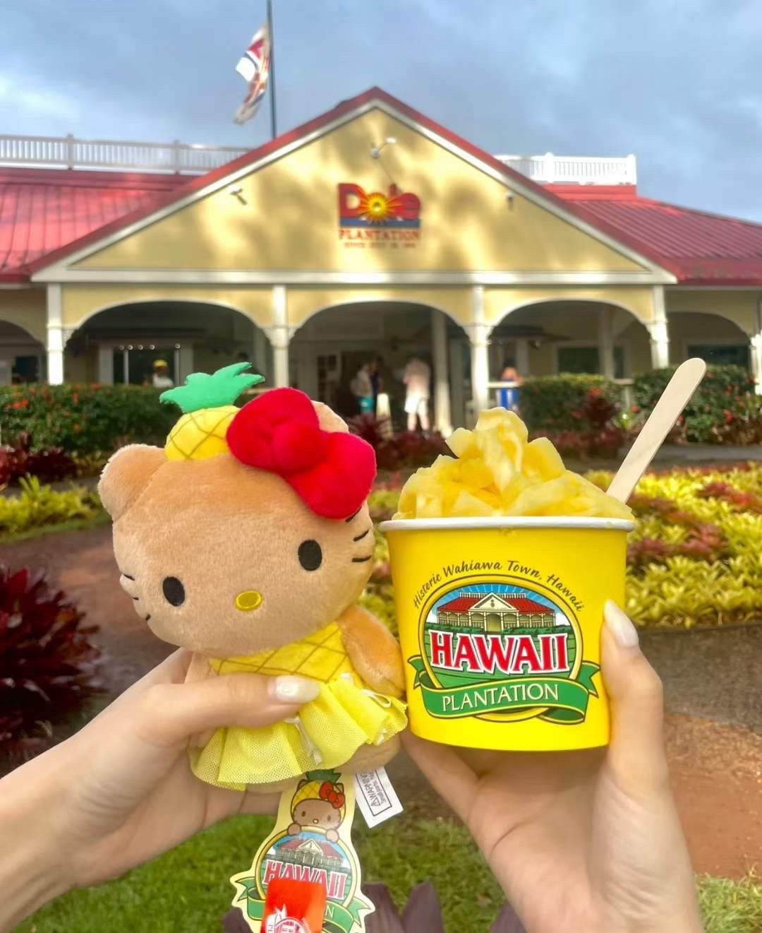 【预定】Sanrio三丽鸥夏威夷黑皮系列挂件 Hello Kitty菠萝头