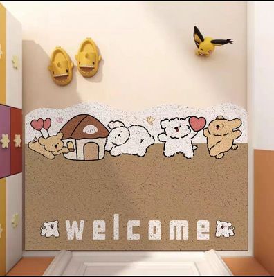 Scraper Mat / 丝圈地垫