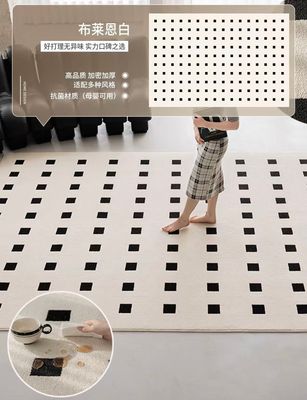 【在途现货】轻奢高级簇绒加厚布莱恩白地毯2*3m/ Light Luxury Premium Tufted Thickened Brian White Carpet – 2×3m