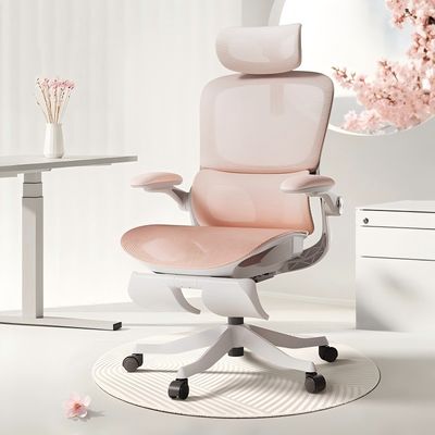 【在途现货】黑白调P2 pro人体工学椅/ Hbada P2 Pro Ergonomic Chair