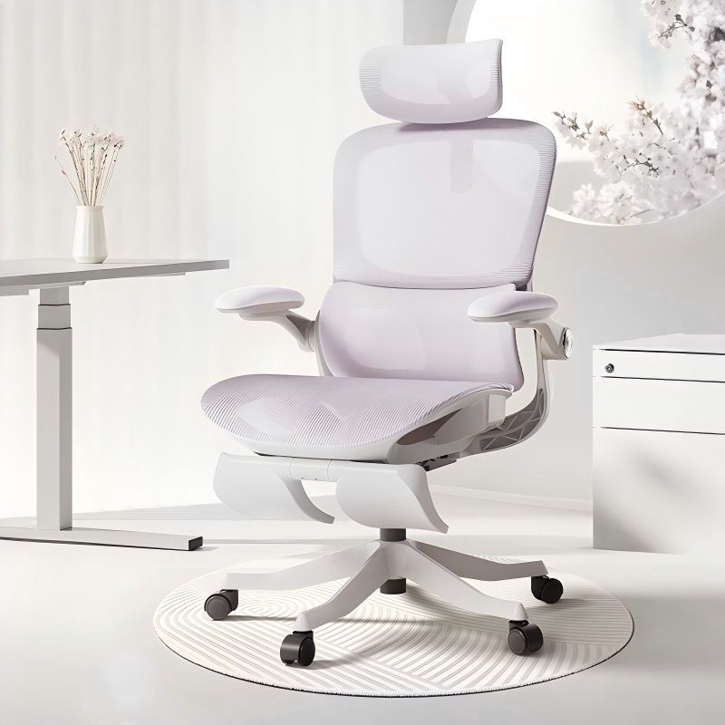 黑白调P2 pro人体工学椅/ Hbada P2 Pro Ergonomic Chair, color: 香芋紫/ Taro Purple