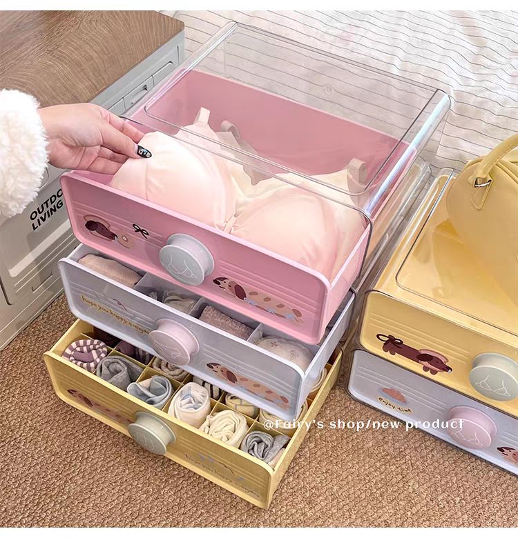 Lingerie Storage Box 内衣收纳盒