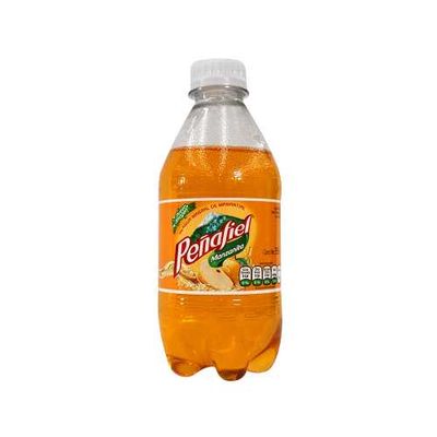 PEÑAFIEL MANZANITA PET 355 ML