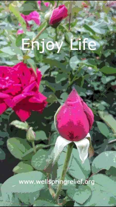Enjoy Life, Smell the Roses