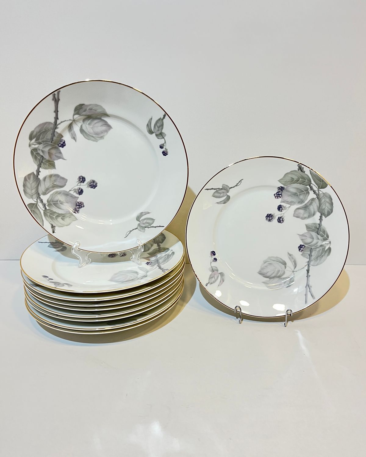 Platos llanos Rosenthal - Moras