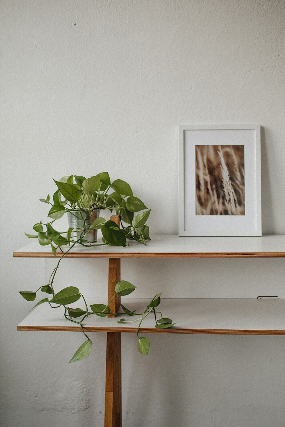 Sideboard Massivholz 'stäak'