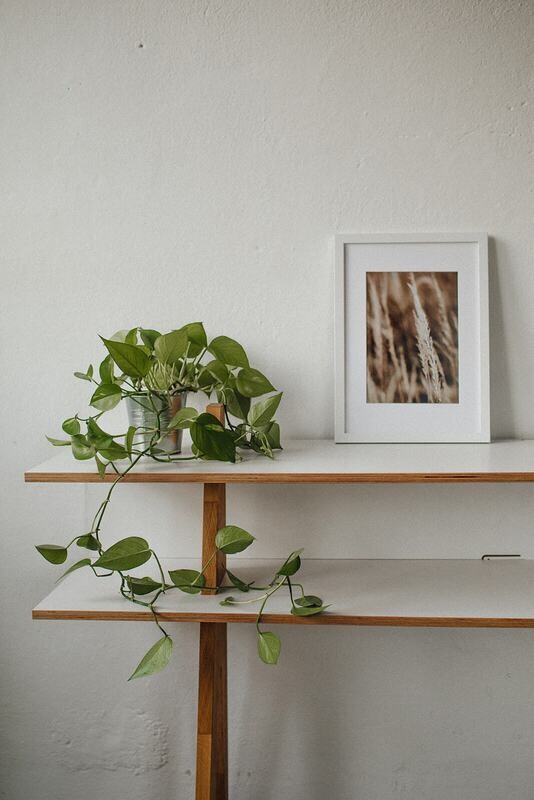 Sideboard Massivholz 'stäak'