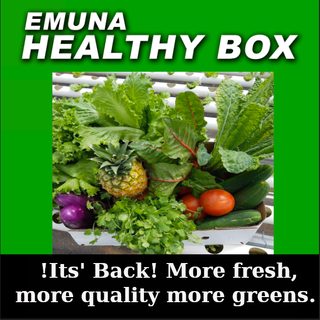 Healthy Box