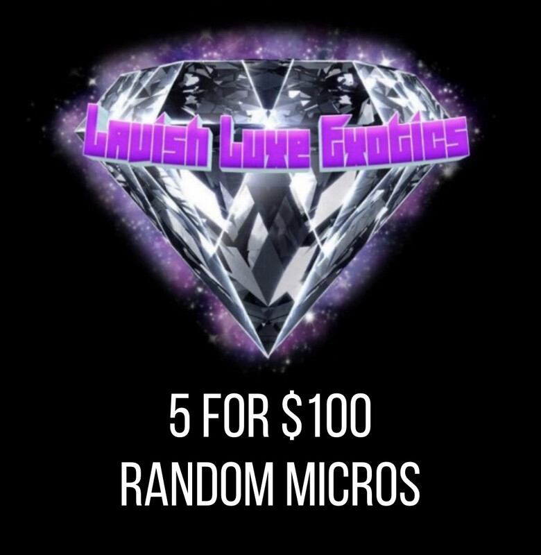 5 for $100 Random micros