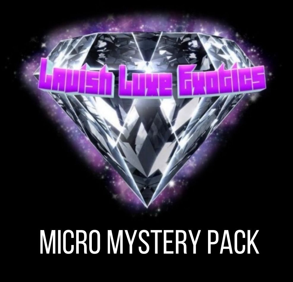 Mystery Microkini 2 pack