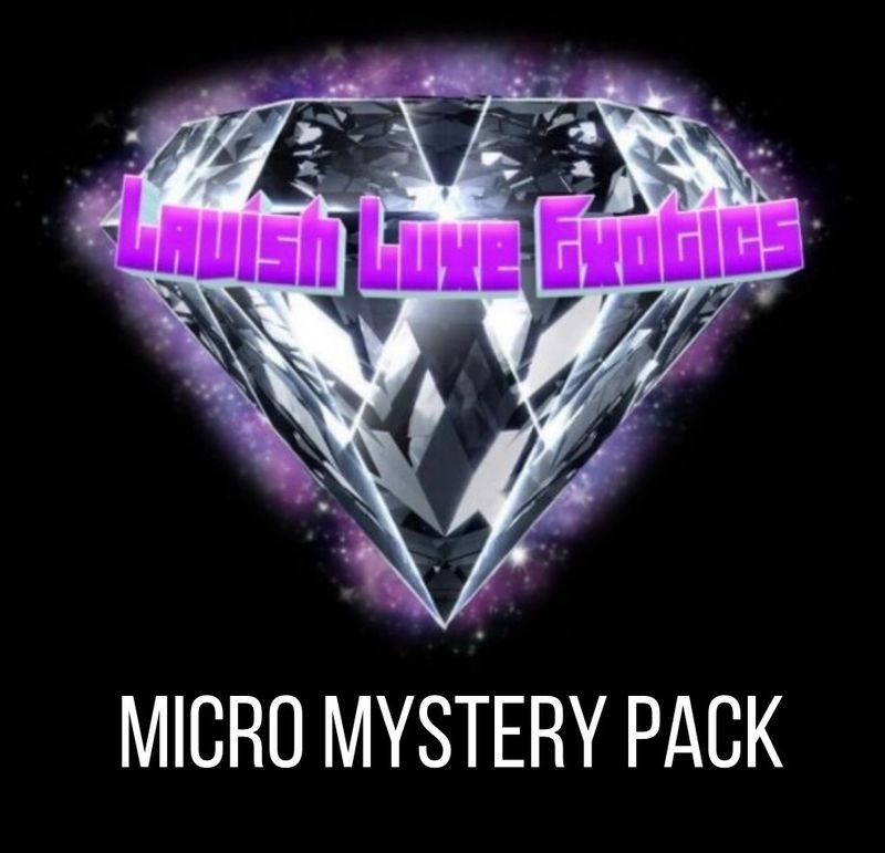 Mystery Microkini 2 pack