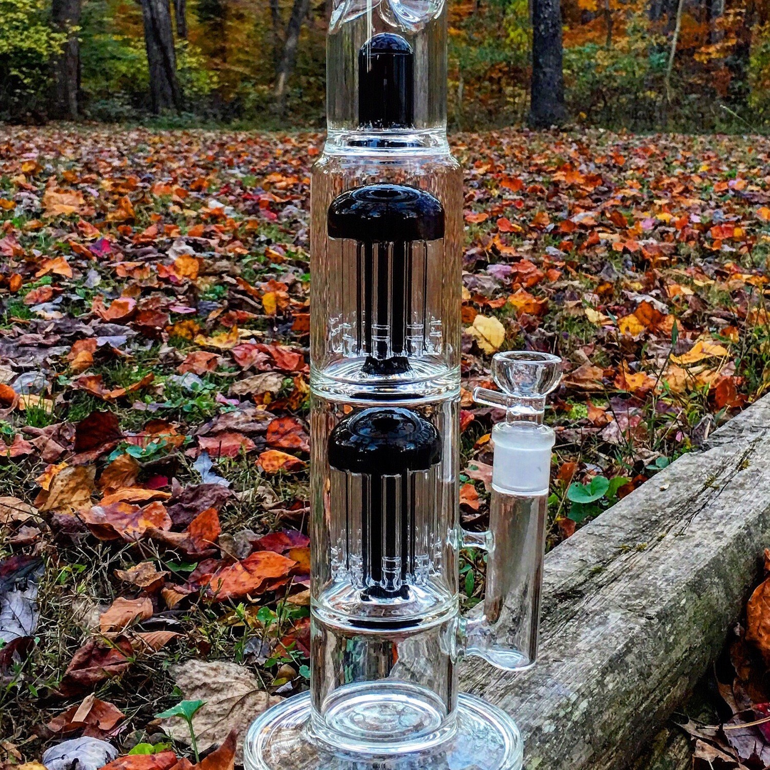 20&quot; Shower Head Perc Water Pipe