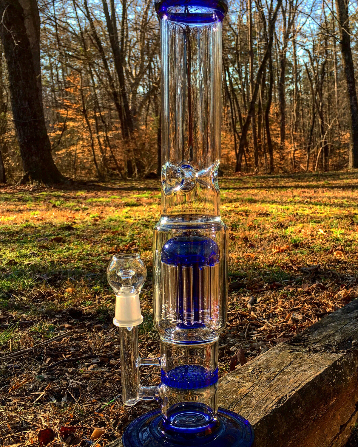 11&quot; Blue Honeycomb &amp; Tree Arm Perk Water Pipe