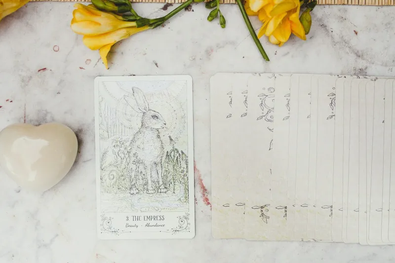 Tirage Complet Sentimental / Pro / Général – Vidéo/téléphone Whatsapp 1h